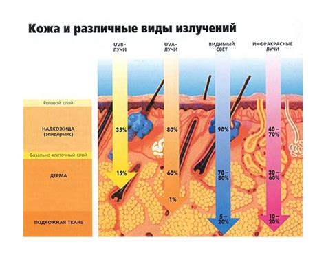Влияние сочетания солярия и автозагара на кожу