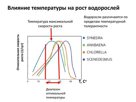 Влияние температуры на разведение протеина