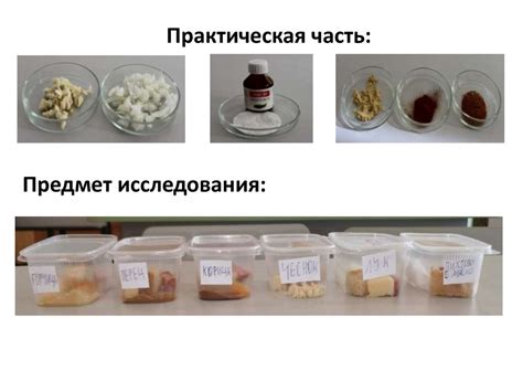 Влияние температуры на сохранность клубники