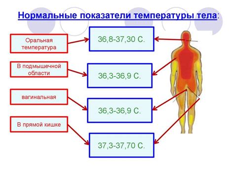 Влияние температуры тела на загар