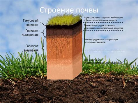 Влияние типа почвы на время начала посевных работ