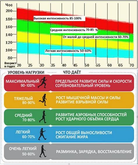 Влияние тренировок на пульс при беге: как изменяется пульс при увеличении нагрузки