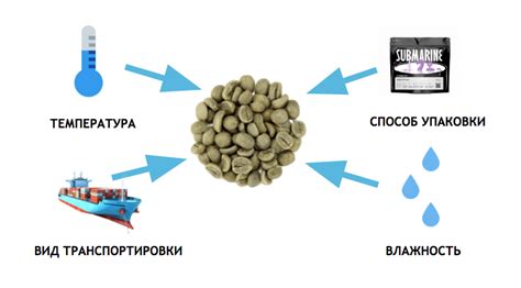 Влияние условий транспортировки