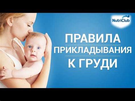 Влияние фасоли на грудное вскармливание: советы и особенности