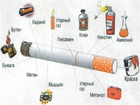 Влияние физической активности на выведение никотина из организма
