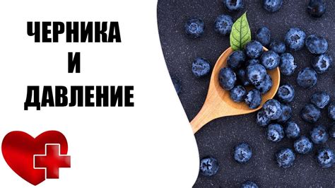 Влияние черники на давление