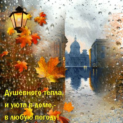Вместе в любое время и в любую погоду: настоящая дружба непоседов