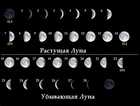 Вмешательства в зависимости от фазы луны