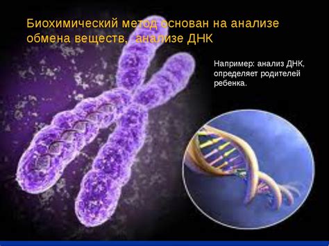 Вмешательство генетики: наследственные факторы, которые делают вас отцом