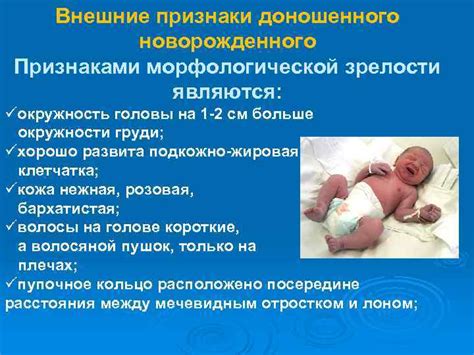 Внешние признаки зрелости