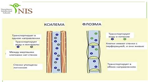 Внешние факторы, влияющие на давление дыма при движении: