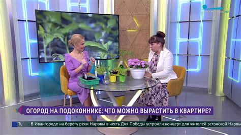 Вне зависимости от погоды и сезона
