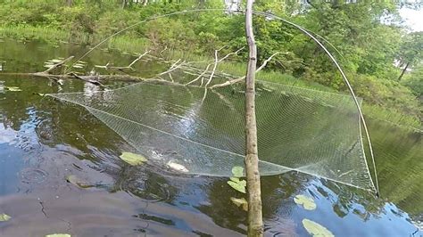 Водные условия для ловли рыбы на паук