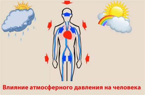 Воздействие атмосферного давления на органы человека