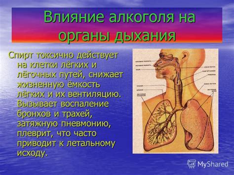 Воздействие на дыхательную систему