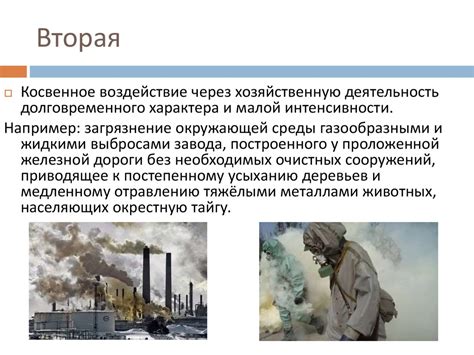 Воздействие на окружающую среду при превышении скорости звука