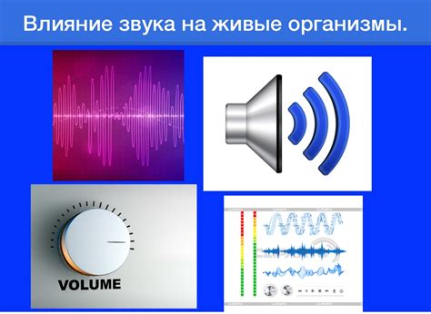Воздействие на предметы и организмы при превышении скорости звука