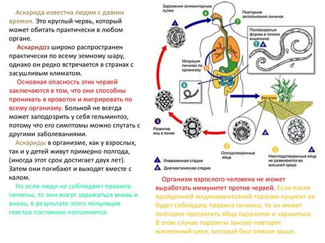 Возможность заражения взрослого