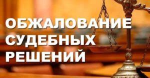 Возможность обжалования судебного решения