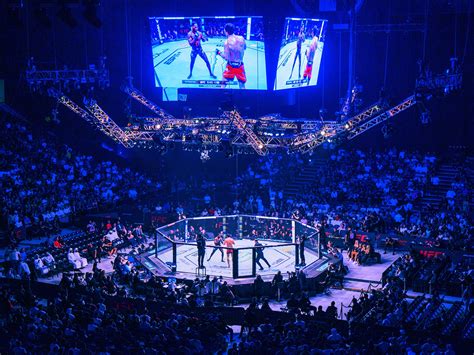 Возможность посещения боев UFC в Абу Даби