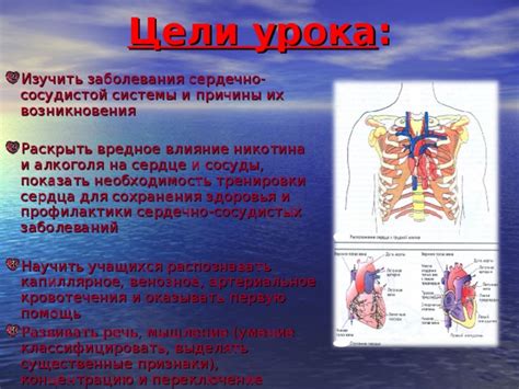 Возможность сохранения сосудистой проходимости