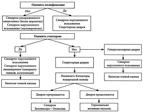 Возможность употребления морса при диарее