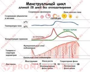 Возможные нарушения при биопсии эндометрия