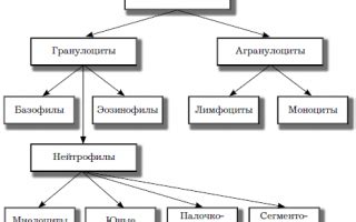 Возможные отклонения