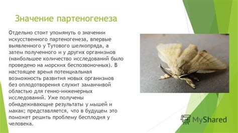 Возможные последствия партеногенеза у людей