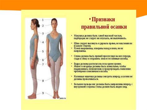 Возможные причины развития сутулости