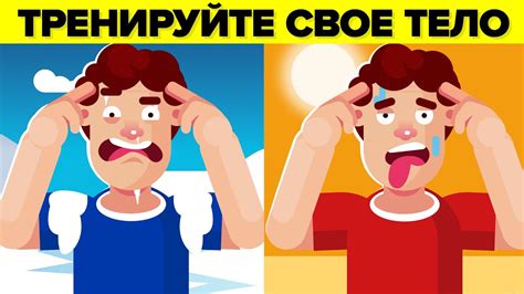 Возможные проблемы с аккумулятором при экстремальном холоде