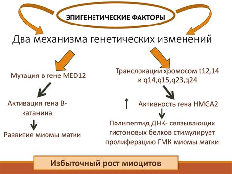 Возможные эффекты генетических изменений