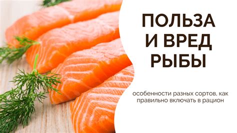 Возраст добавления сырой рыбы в рацион котятам