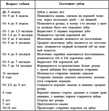 Возраст и состояние щенка