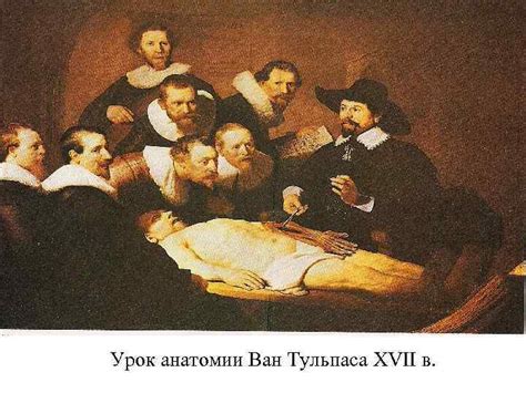 Возрождение гигиены в эпоху Возрождения