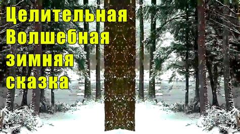 Волшебная зимняя сказка