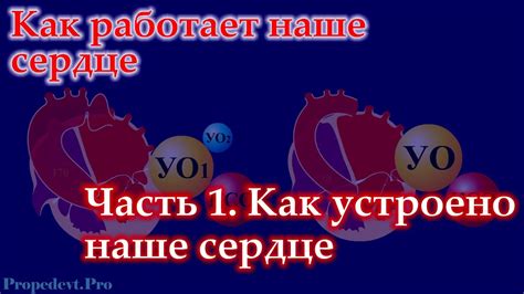 Волшебные мгновения, когда смех занимает наше сердце
