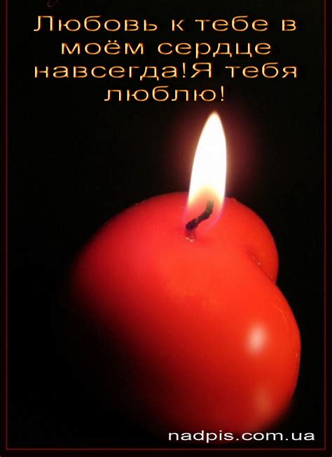 Воспоминания, которые остаются в сердце навсегда