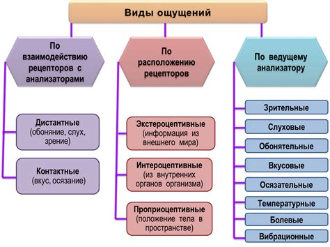 Восприятие автора: исключительные ощущения