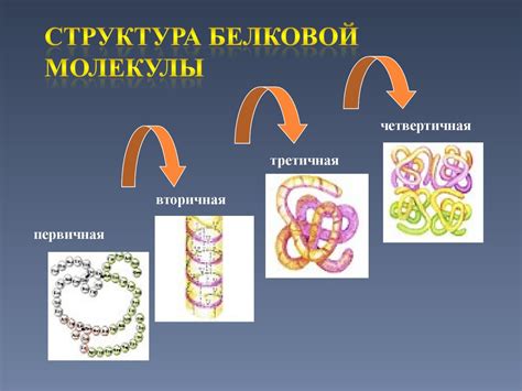 Восстановление белковой структуры: способы и перспективы