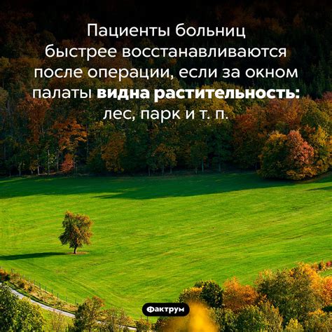 Восхищение красотой природы