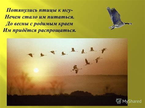Восхищение родимым краем глазам откроется