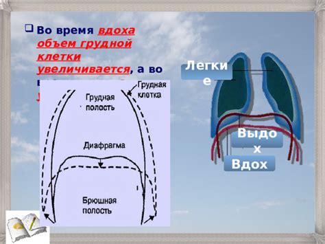 Во время вдоха активно используйте диафрагму