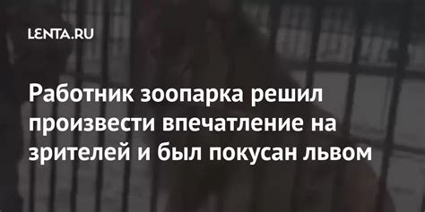 Впечатление от происшествия разделило зрителей