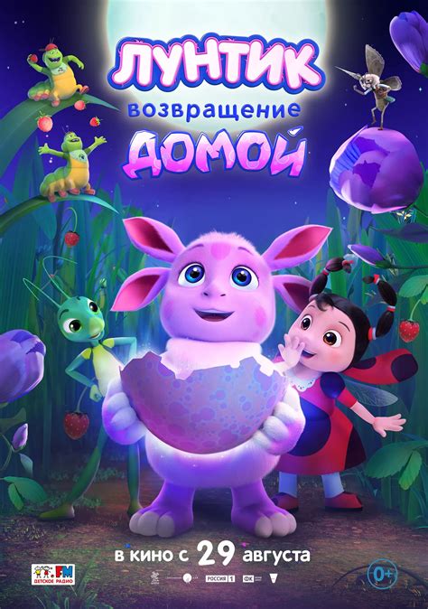 Впечатления и возвращение домой