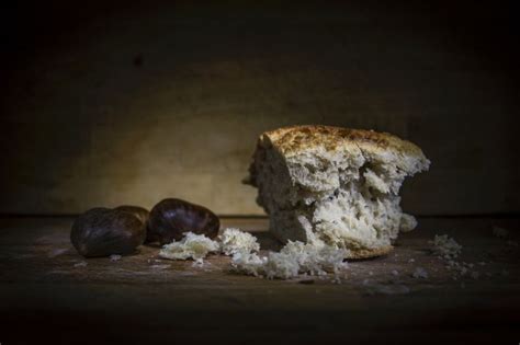 Вредные последствия употребления заплесневелого хлеба курами