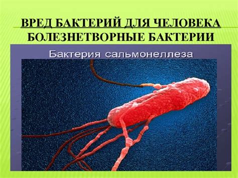 Вред бактерий