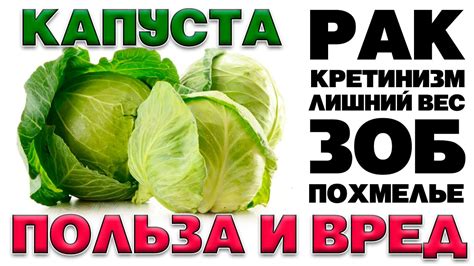 Вред капусты в солянке