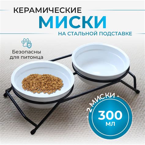 Вред кормления кошек кормом для собак