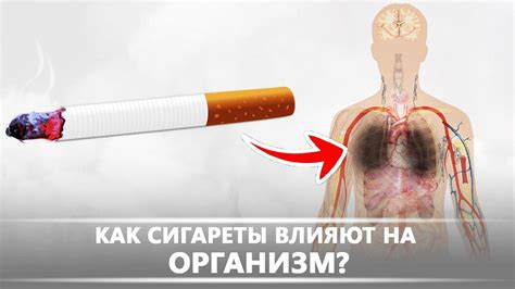 Вред курения для организма и последствия для здоровья